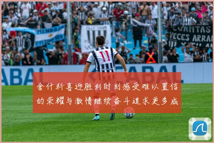 舍什科喜迎胜利时刻感受难以置信的荣耀与激情继续奋斗追求更多成就