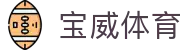 宝威体育-宝威体育(宝威)官方网站_BaoWeiSPORTS